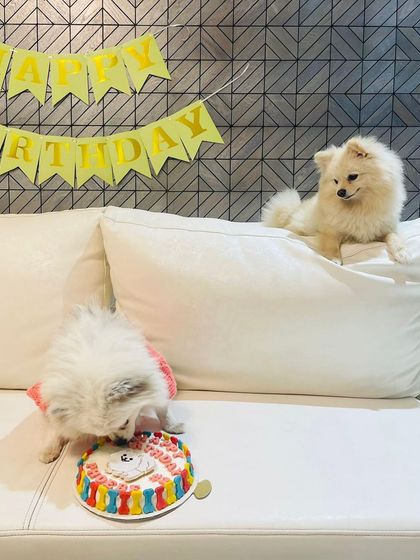Birthday girl Phoebe, in her adorable crochet dress, getting ready to dig into her cake while her sibling looks on. These are the moments I bake for.
