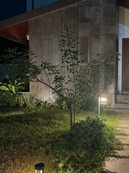 The architectural lines of this modern home and the delicate branches of a young tree are highlighted by carefully placed outdoor lights. This shows how lighting can connect the house and garden at night.