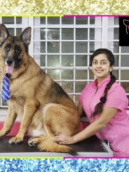 Fuzzy Wuzzy - Pet Grooming & Spa Spaniels, Retrievers & Large Breed Grooming photo 53