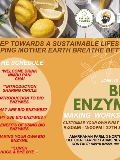The detailed schedule for our Bio-Enzyme making workshop, from the welcome drink to the hands-on session.