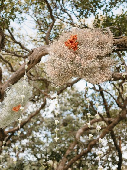 A detail of the baby's breath clouds and hanging floral strings that adorned the tree branches above the ceremony.