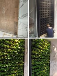 Vertical Garden & Green Wall Installation