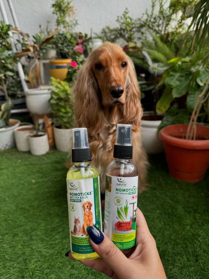 Our go-to solution for tick and flea prevention. These sprays from Natural Remedies are a must-have for every pet parent.