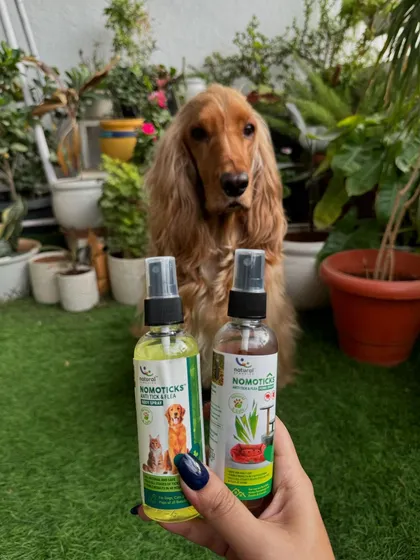 Our go-to solution for tick and flea prevention. These sprays from Natural Remedies are a must-have for every pet parent.