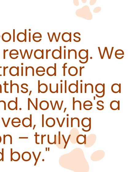 This text is part of a wonderful review from Goldie's family. It highlights how our training journey was incredibly rewarding, resulting in a polite, loving dog who is now truly a "very good boy."