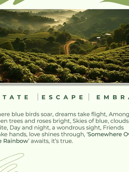A visual summary of our 'Somewhere Over The Rainbow' project, encapsulating the themes of Estate, Escape, and Embrace in a single, powerful image.