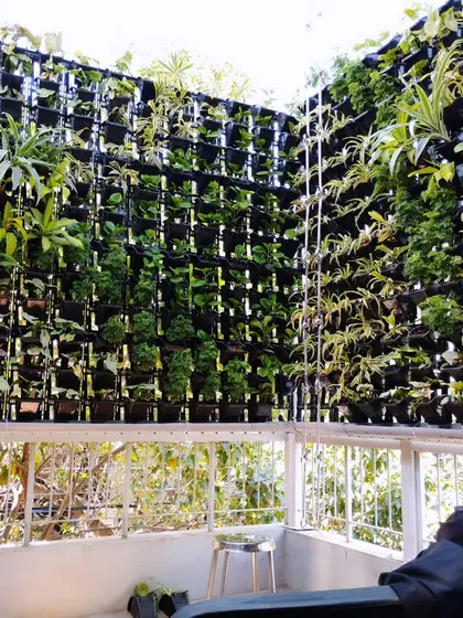This is the result I aim for: a beautiful, green space that you can truly enjoy. Here, a client relaxes on their balcony, now a private retreat thanks to the lush vertical garden we installed. It’s not just about plants; it’s about creating a better living environment.