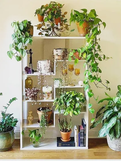 A white shelf provides a clean backdrop for a collection of plants. Here, trailing Pothos and other potted plants are mixed with decorative objects to create a personalized green display.