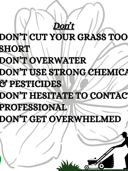 To avoid common mistakes, here are five things you should NOT do: don't cut grass too short, don't overwater, don't use harsh chemicals, and don't hesitate to call a professional if you feel overwhelmed.