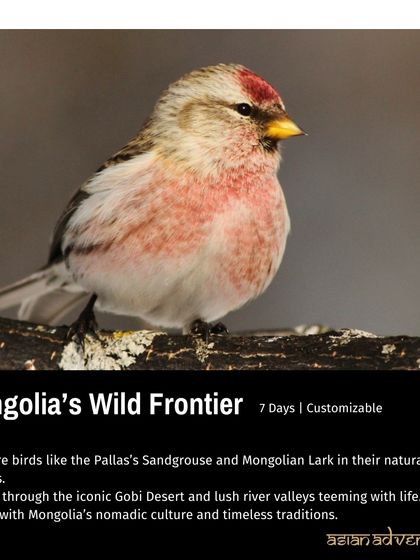 Global Wildlife Adventures photo 29