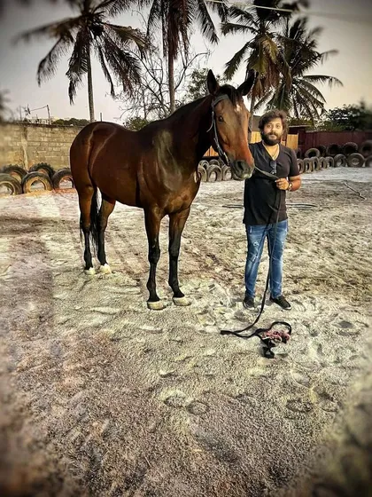 A rider posing with his handsome brown horse in the sand arena, with our signature palm trees in the background.