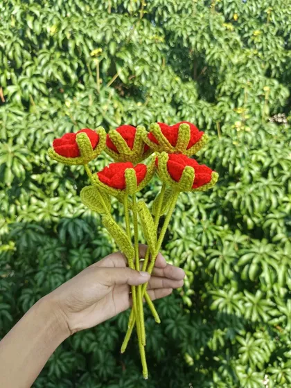 A handful of five red open tulips.