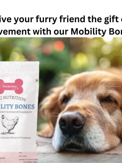 The Barkery by NV - Functional & Health-Specific Treats Joint & Mobility Support photo 4