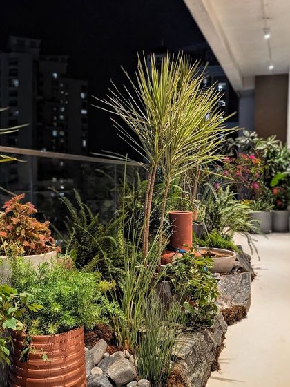 A glimpse into a dynamic rock garden we created for a client’s lavish deck at night. The combination of rocks, unique terracotta pots, and varied foliage creates a stunning, textured landscape.