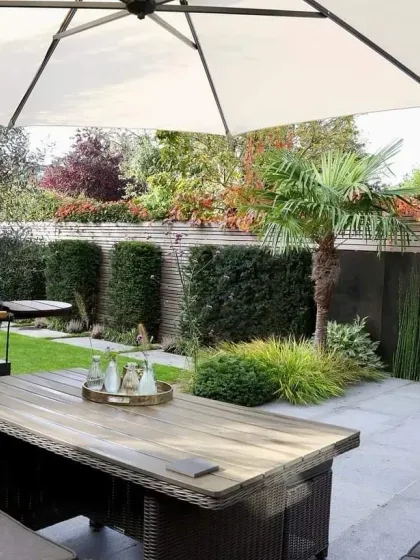 An outdoor dining setup designed for a smaller backyard. I used a combination of a wooden fence, trimmed hedges, and a variety of plants to create a private, enclosed garden atmosphere.