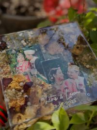 Sentimental & Keepsake Preservation