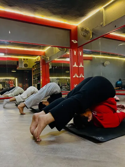 The class practices Halasana (Plow Pose), an inversion that stretches the shoulders and spine.