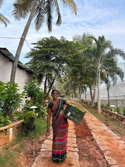 This is Sharanamma, one of the joyful, hardworking members of our team. Her smile reflects the pride we take in our work, bringing fresh produce from our farm to your table.