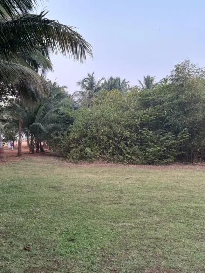 On Earth Day and every day, we cherish our lush green spaces. The park is the heartbeat of the Earth in the heart of Mumbai, a natural haven we are committed to preserving.