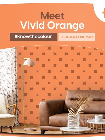 Paint My Walls - Painting Services Free Color Consultation & Inspiration photo 88