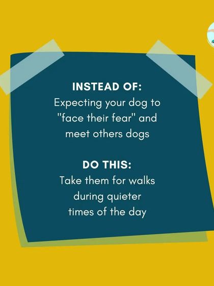 Furry Story - Pet Sitter & Home Boarder Training My Approach to Training photo 14