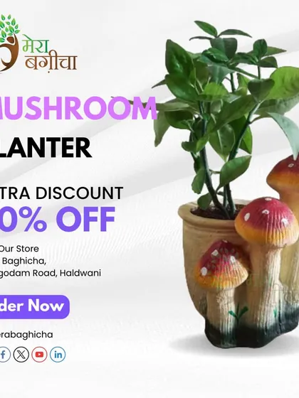 This mushroom-themed planter is a whimsical addition to any indoor or outdoor garden. The design features a cluster of mushrooms growing alongside the main pot, creating a magical, forest-like feel.