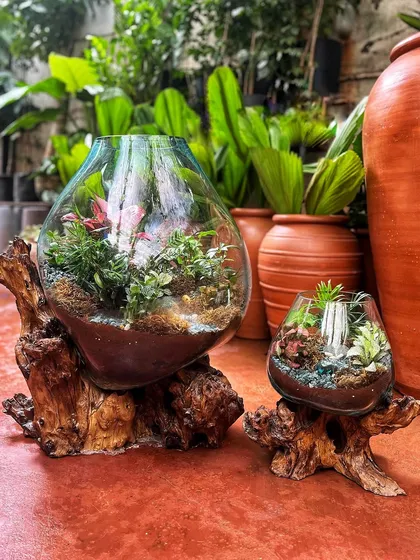Objects in the image are larger than they appear. We just finished these insanely gorgeous giant terrariums for a client, with the larger one standing over two feet tall. We love creating these miniature worlds in glass.