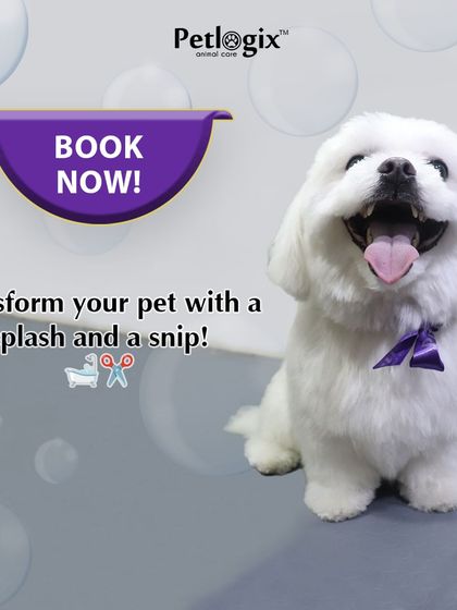 Transform your pet with a splash and a snip. This happy, freshly groomed dog is the perfect example of our work.