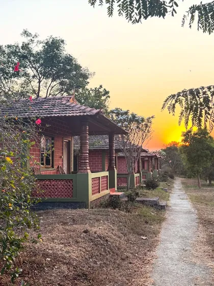 As the sun sets, it casts a warm glow on our eco-friendly cottages. We designed our accommodations to be simple, comfortable, and in harmony with the natural surroundings, providing a peaceful space for rest and reflection.