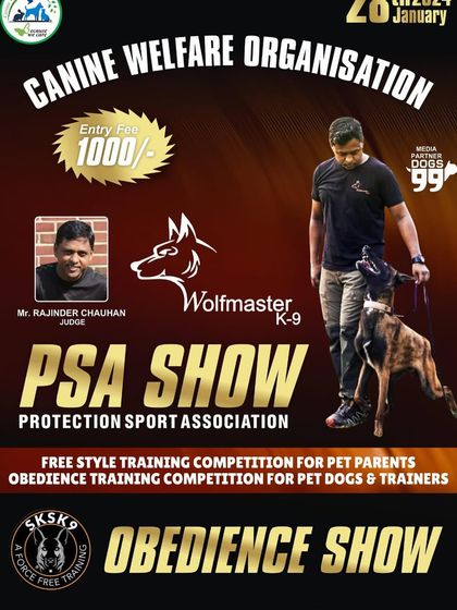 Professional Grooming Competitions photo 3