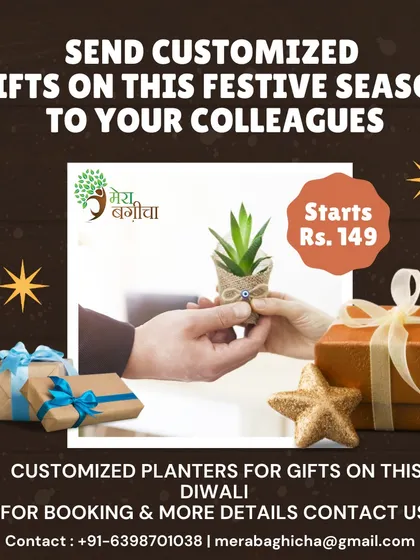 I believe in thoughtful gifting. For your colleagues and clients, I create customized planters and green gift hampers that are sustainable and memorable. These are perfect for Diwali, New Year, or any corporate event, with options starting at just Rs. 149.