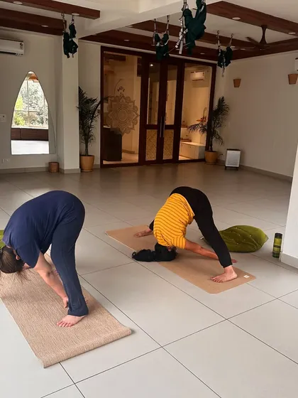 Students practice a forward fold, stretching their hamstrings and releasing their lower backs.