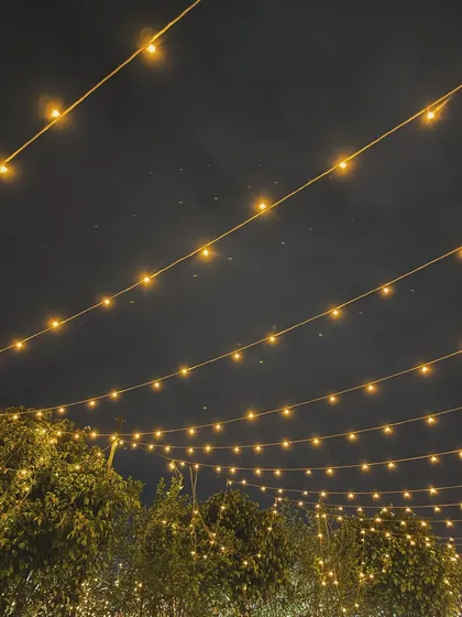The night sky over the farm, with rows of fairy lights creating a ceiling of stars. It's a truly magical sight.