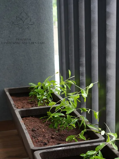 A clean shot of our custom-branded planter boxes ready for planting, set against a modern grey wall and vertical blinds.