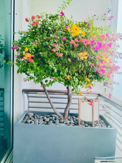 Whispering Gardens - Landscape & Garden Design Intimate Spaces: Balcony & Courtyard Havens photo 36