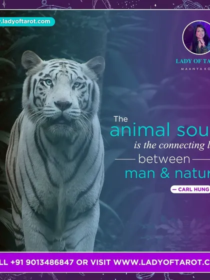 As Carl Jung noted, "The animal soul is the connecting link between man & nature." Our encounters with animals often hold deeper meaning, acting as silent wisdom and guidance from our spirit guides on life's journey.