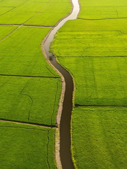 A winding river cutting through green fields, seen from directly above. This simple, elegant line in the landscape looks like a "Water Snake," part of my abstract aerial photography series.