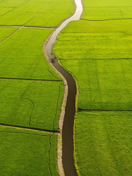 A winding river cutting through green fields, seen from directly above. This simple, elegant line in the landscape looks like a "Water Snake," part of my abstract aerial photography series.