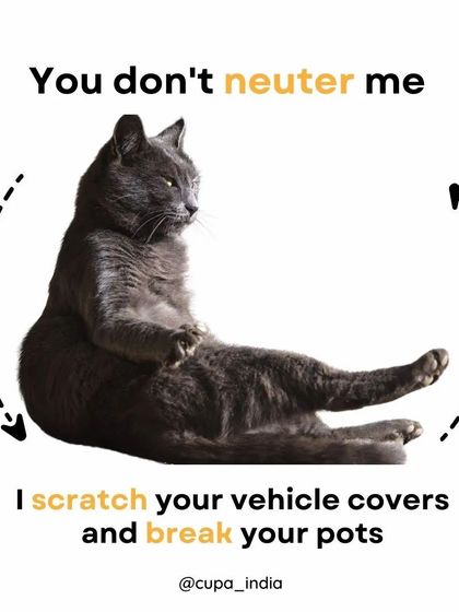 Cupa - Spay/Neuter & Animal Birth Control Join the Solution: Be a Responsible Animal Lover photo 7