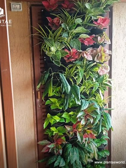 To maximize greenery in a narrow balcony space for our Worli client, we installed this compact vertical garden. It's a practical solution that adds a wall of vibrant, mixed foliage without taking up valuable floor space.