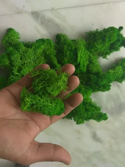 A handful of our preserved green moss. It's soft, spongy, and holds its color, making it an easy and long-lasting decorative element.