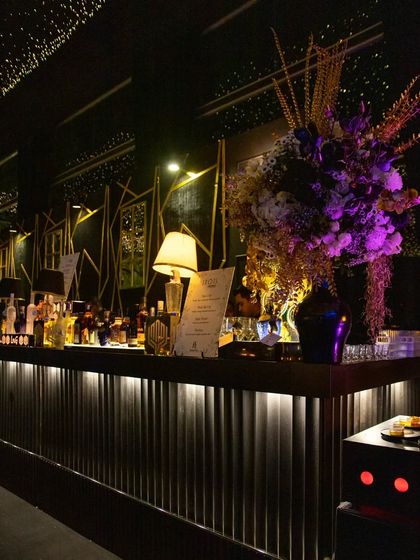 Grand Galas & Opulent Receptions photo 25