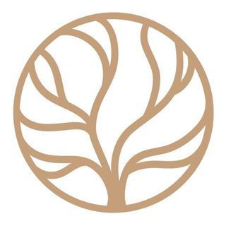 The Kind Roastery + Brew Room