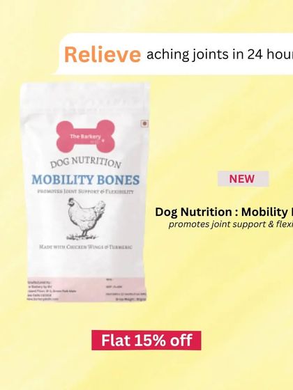 The Barkery by NV - Functional & Health-Specific Treats Joint & Mobility Support photo 11