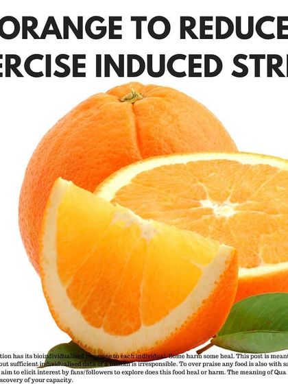 Taffylene - Sports Nutrition Fuel Your Performance: A Food-by-Food Guide photo 6