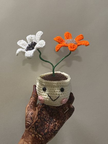 Quirky & Smiley Pots photo 14