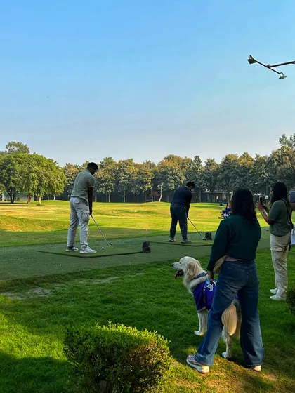 A golfer's best friend watches on. We're a pet-friendly facility, so bring your well-behaved furry companions along.