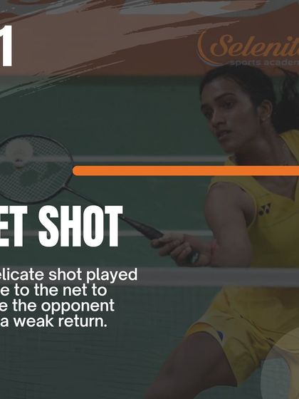 Selenite Sports - High Performance Badminton Training The Champion's Playbook photo 6