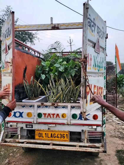 Delhi Gardner - Full-Service Landscaping Our Process: From Concept to Creation photo 16