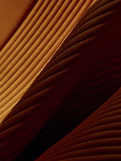 3D & Sculptural Wallcoverings photo 9